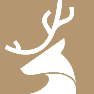 افزونه